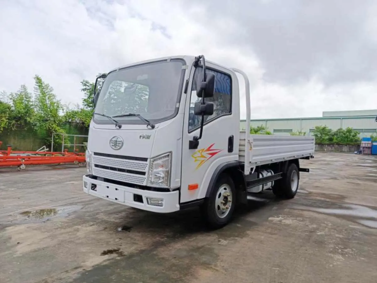 Tiger VR Series (10 FT Cargo Truck) — photo 1